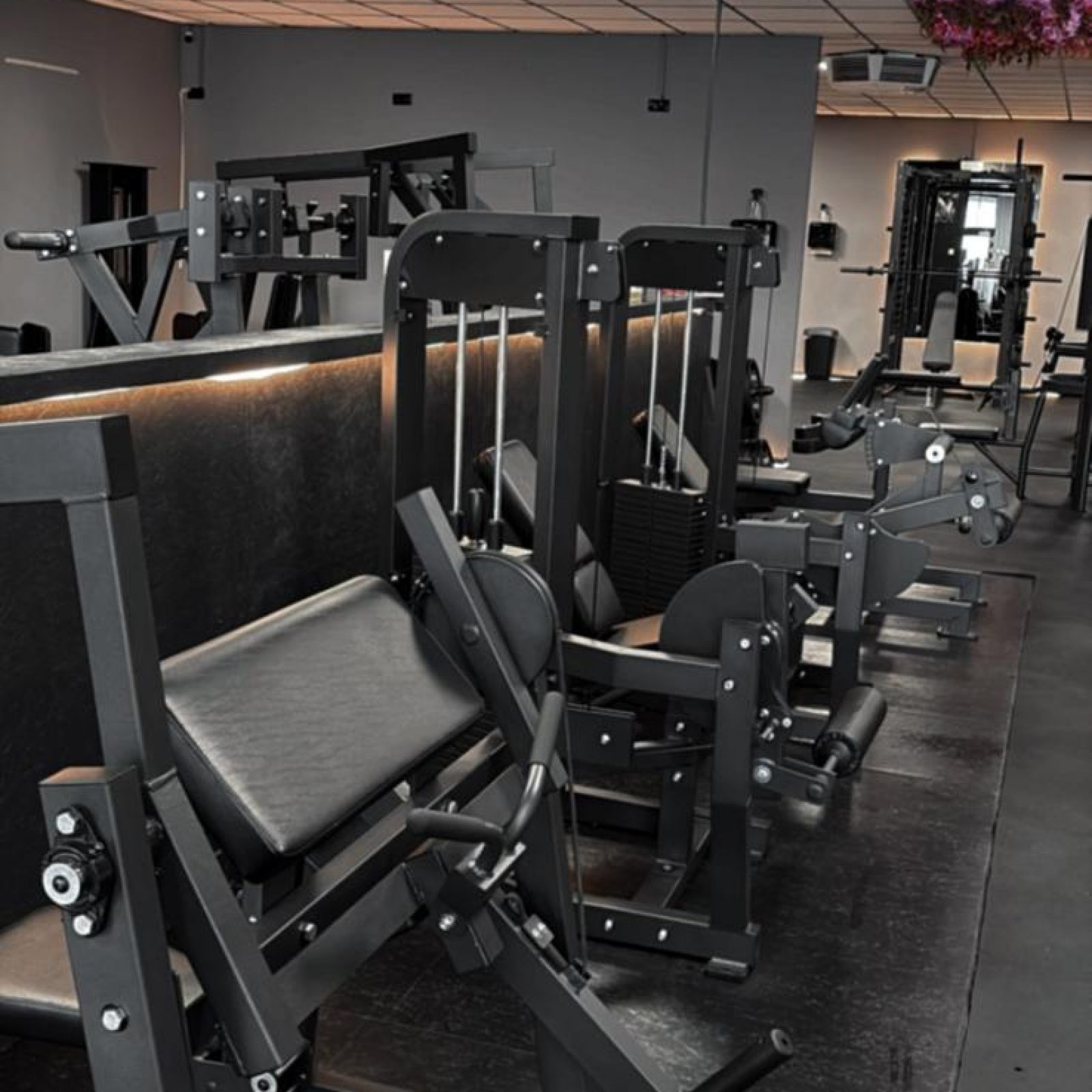 WhatsApp Image 2026-02-04 at 11.41.11