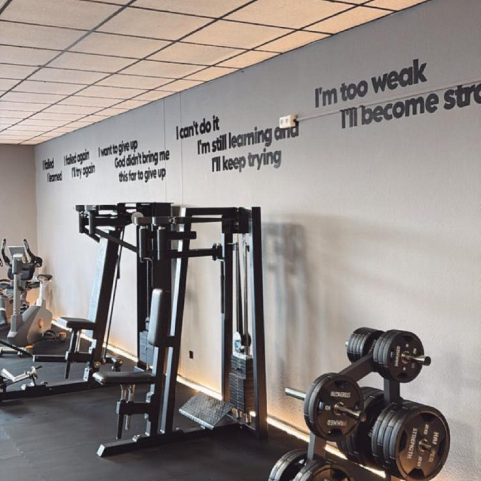 WhatsApp Image 2026-02-04 at 11.41.29